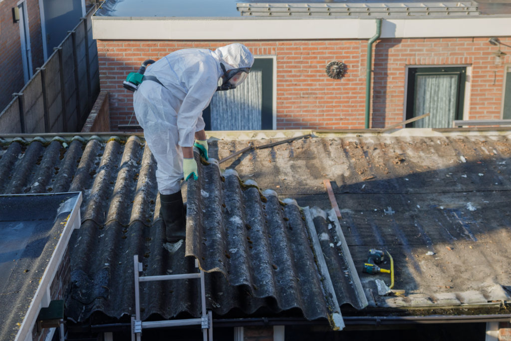 asbestos removal health and safety guidelines
